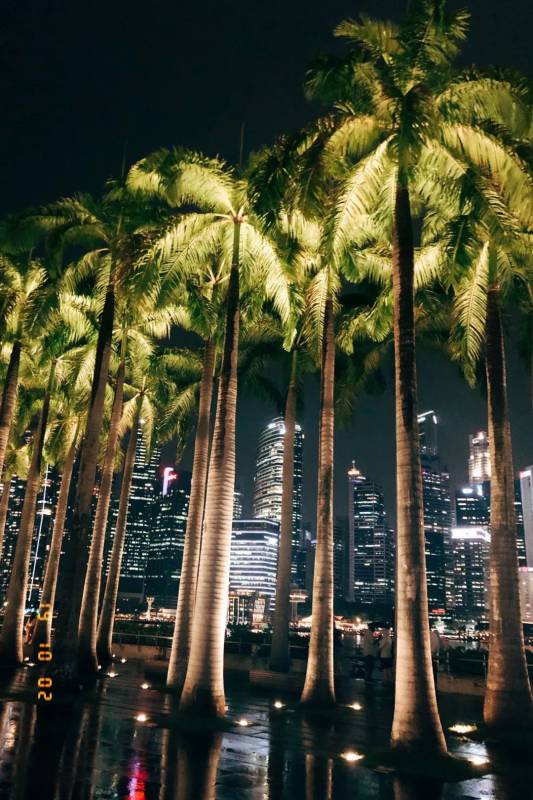 新加坡留学：收到offer后要做的准备，这些一定不能忽视哦