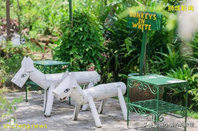 新加坡有座宝藏农场，全部种植有机蔬果，周末成度假打卡圣地