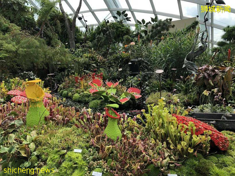 新加坡放宽旅游限制，小众网红景点等你来打卡