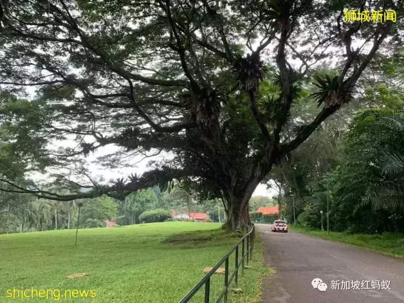 新加坡淪陷80周年紀念：人們遺忘了什麽，還記得些什麽