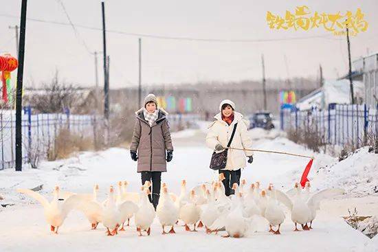 想家的老鐵們來個熱乎乎的“東北鐵鍋炖”吧