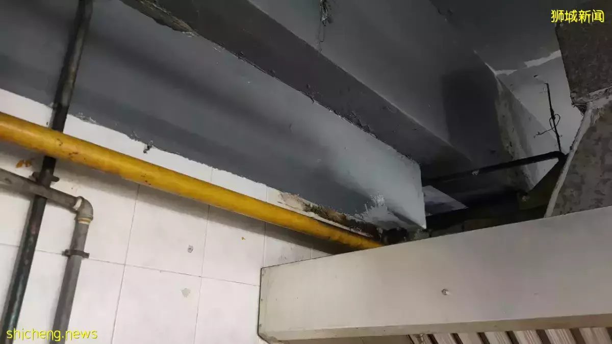 文禮咖啡店驚現大老鼠 老板無奈:整個購物中心都有