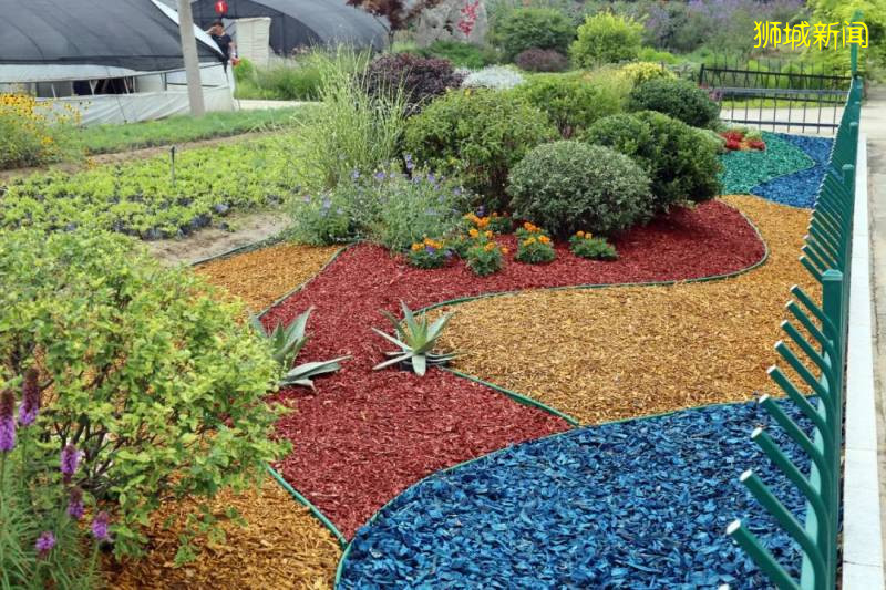 他們處置園林廢棄物,爲什麽不學“新加坡模式”