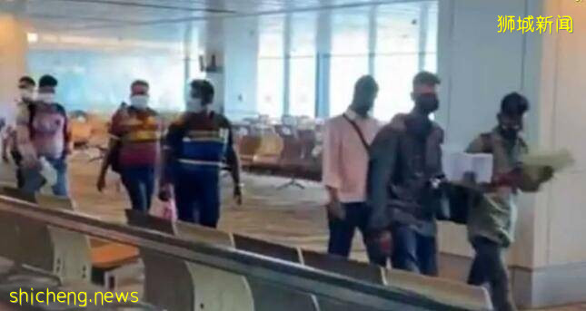 一边收紧准证入境、一边大批客工入境!新加坡居民脑袋嗡嗡滴