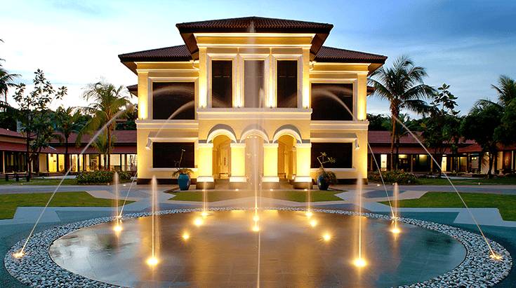 免费展出🎊最新猫咪艺术展限时登场+可爱放送🐱 日本插画家原创作品,青青草坪增添软萌气息