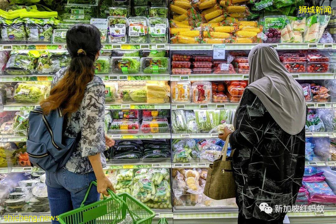 全球48%人口，要麽吃太多過胖要麽吃太少營養不足　是你嗎