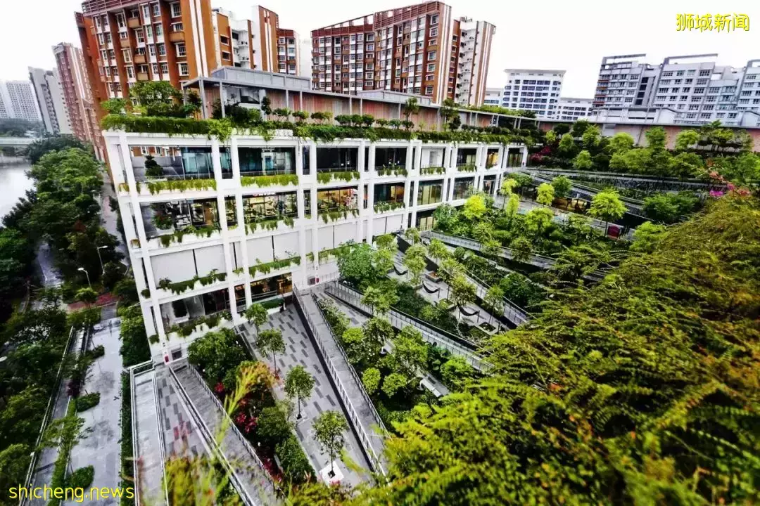 新加坡就医流程全解析,手把手教你如何规划医疗保障