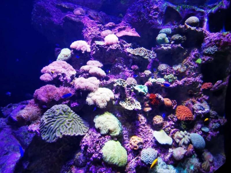 最後悔的一次旅遊經曆:新加坡