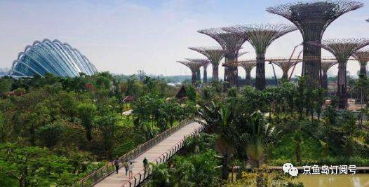 京鱼自由行|穷游新加坡攻略