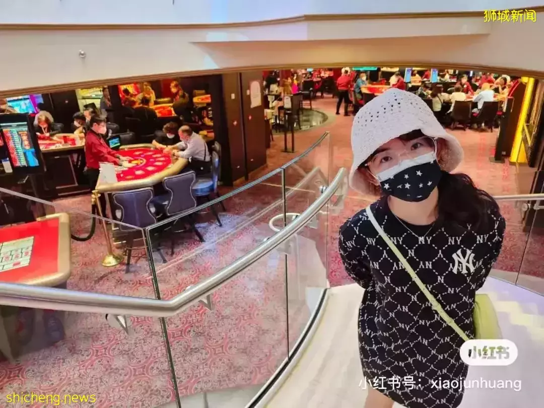 羡慕!一家四口5天4夜坐豪华邮轮免费,攀岩、冲浪、蹦极、跳伞,数不尽的美食和表演