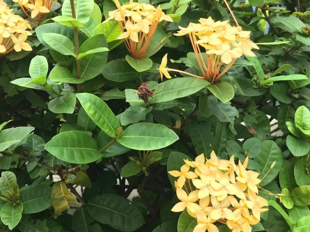 新加坡私立大學最新排名！揭秘私立名校畢業起薪