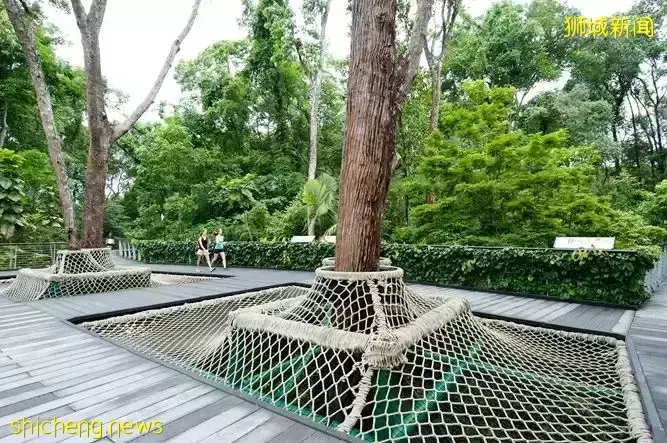 免費！新加坡排名第一的“家庭遊樂場”，竟然有這麽多項目我還沒玩過