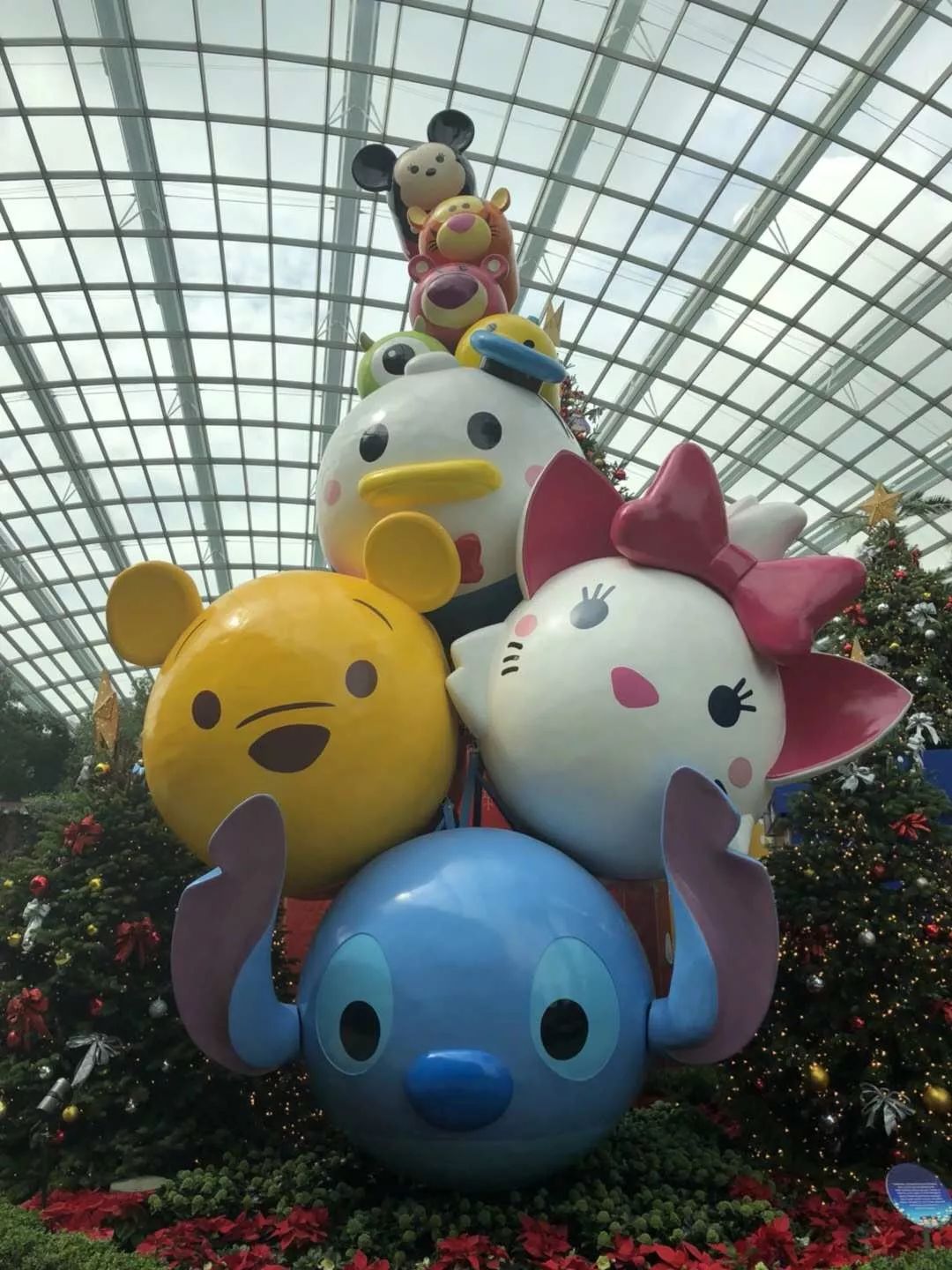 640?wx_fmt=jpeg&tp=webp&wxfrom=5&wx_lazy=1&wx_co=1