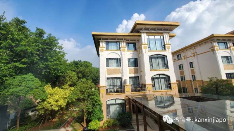 成功从新飞回厦门,核酸检测报告一天就出炉