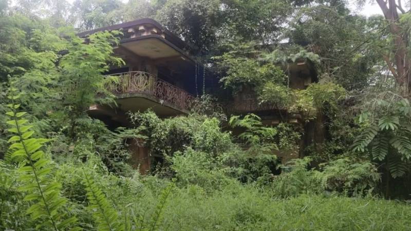 实拍！英国博主非法闯入新加坡“鬼屋”探险，却被网友力挺