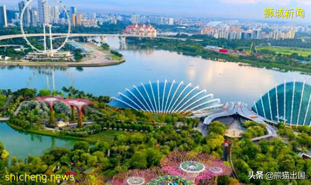 新加坡移民局官网电话，移民新加坡的主要方式