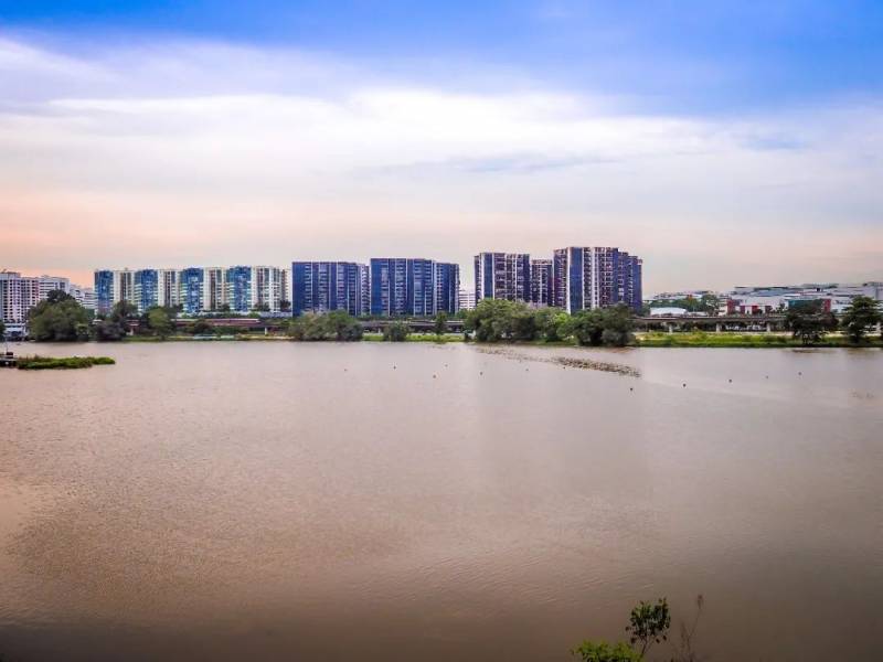 NTU 周邊的絕美拍照聖地,你不想去打卡嘛