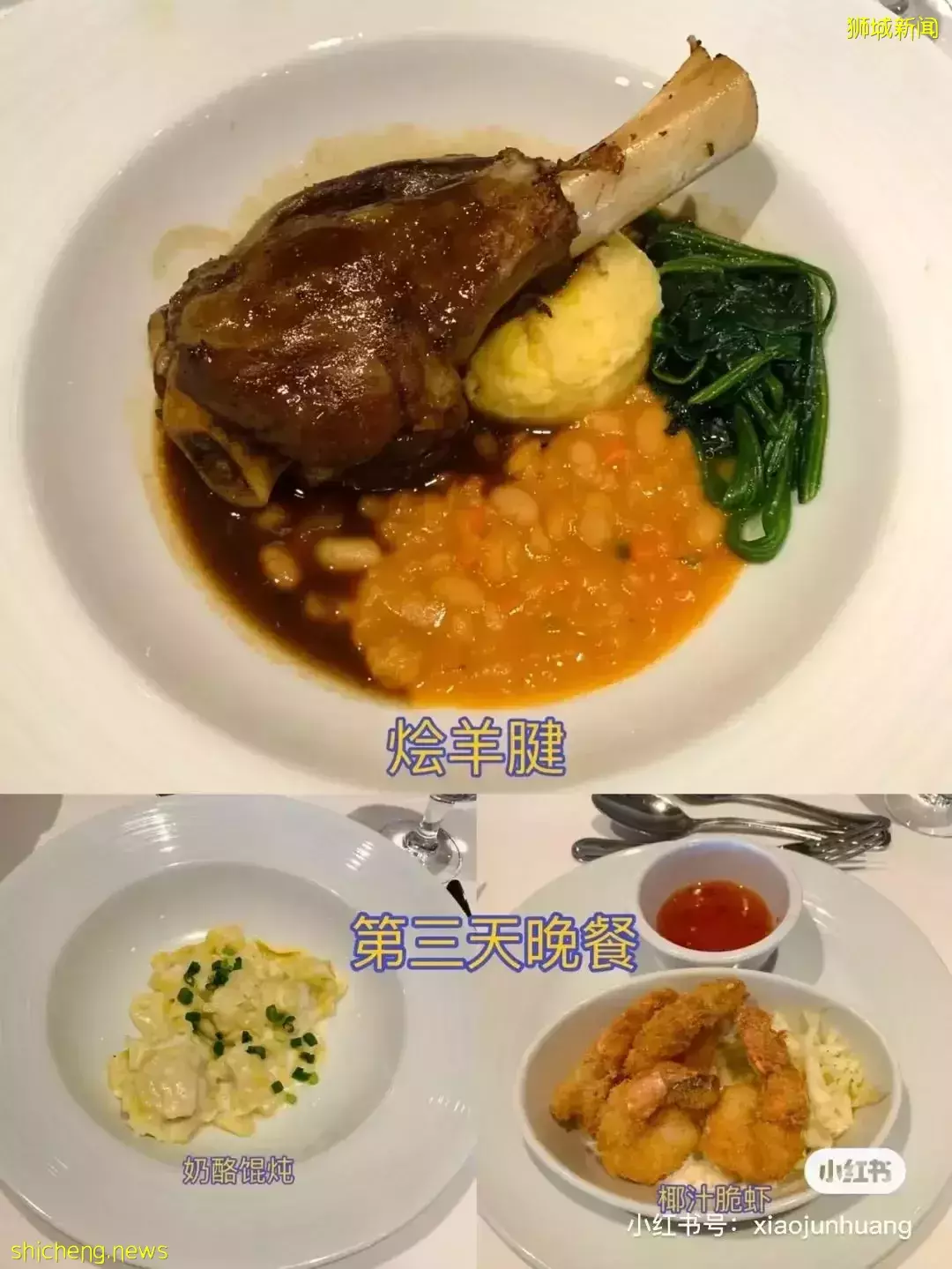 羡慕!一家四口5天4夜坐豪华邮轮免费,攀岩、冲浪、蹦极、跳伞,数不尽的美食和表演