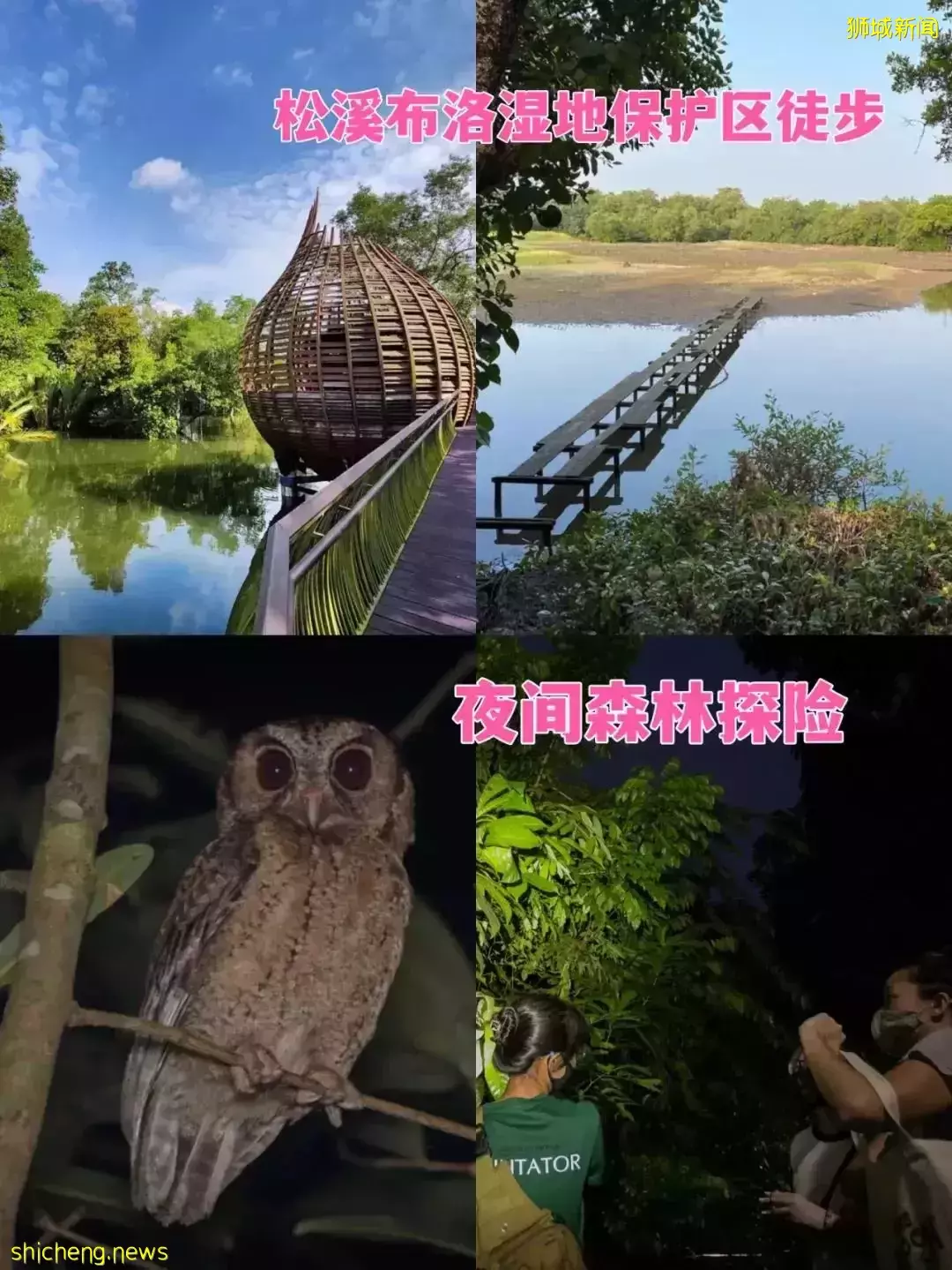 潛水、釣魚、森林浴……新加坡最有趣的10個戶外活動，看到最後一個我心動了