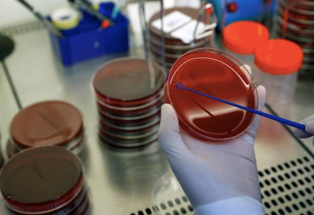 昨天新加坡境外輸入15例!專家:澳洲和越南遊客可能不會來