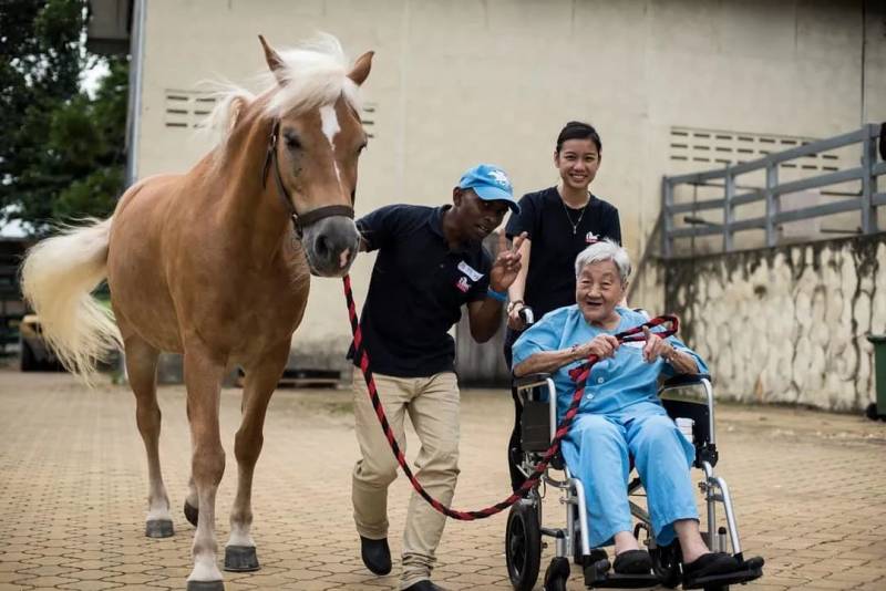 迷你矮脚马闪现爱雍·乌节,为公益活动助力