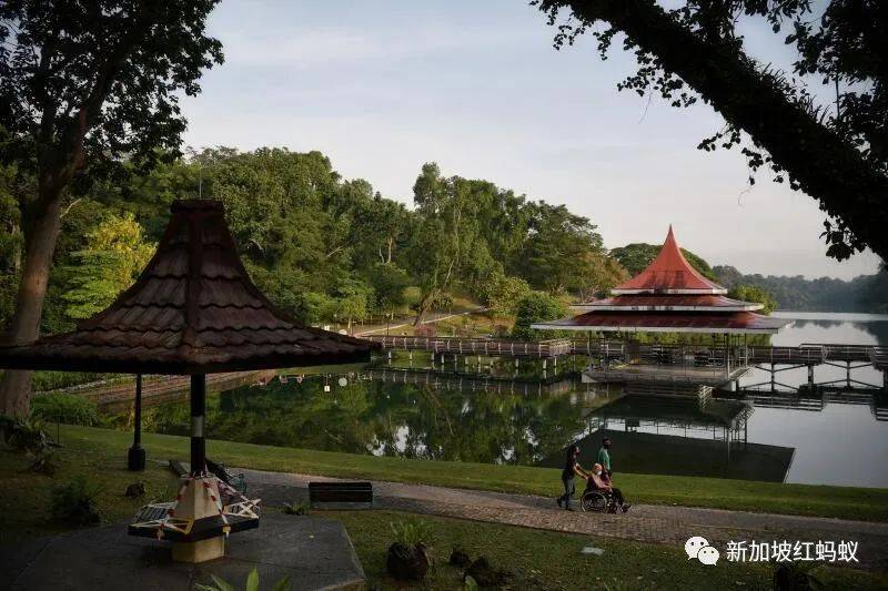 兩中學男生爲尋找日本神社遺址，在新加坡蓄水池森林迷路“神隱”