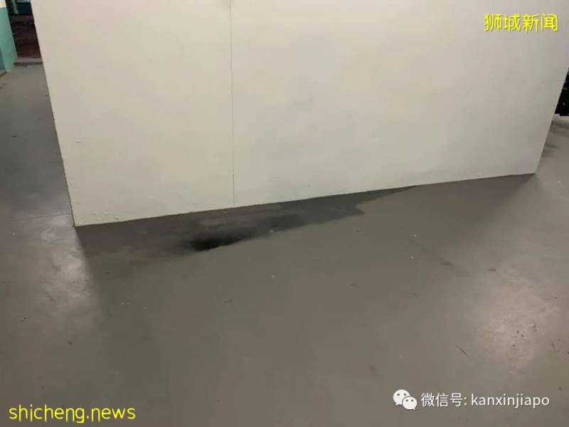 在公共区域自制停车位网上疯传,看到车主的回应我笑了