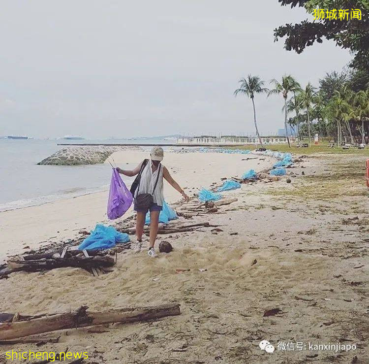 新加坡最近流行撿垃圾了,你還在亂丟嗎