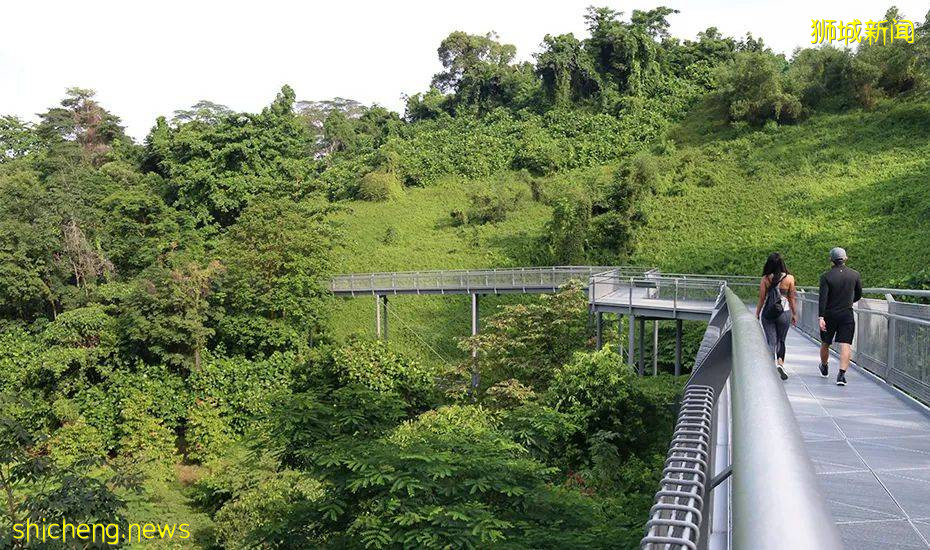 新加坡一學校3天內確診3例!公園和保護區開放!這個疫苗對德爾塔病毒或更有效