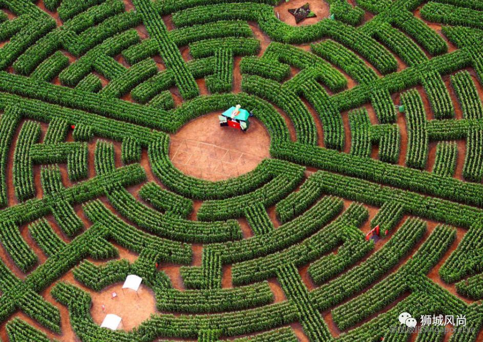 LINE FRIENDS World Tour exhibition is coming to Singapore!