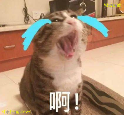 新加坡飞中国部分城市隔离期延长!回国机票低至$500新币