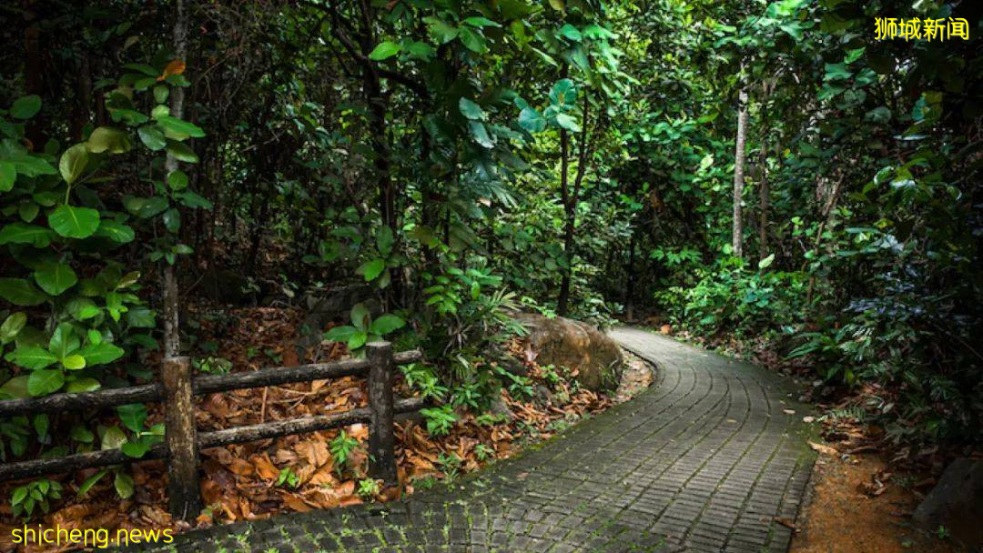 新加坡15条最美徒步路线，下周放假约起来