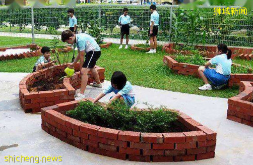 新加坡抗疫有“妙招”,啓動一項新計劃,爲民衆提供網絡培訓材料!