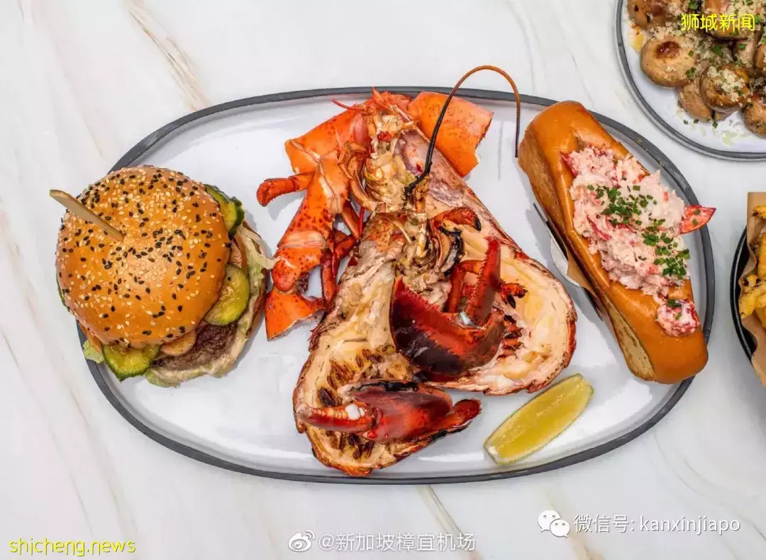 解锁樟宜机场的隐藏玩法,新加坡新晋打卡点