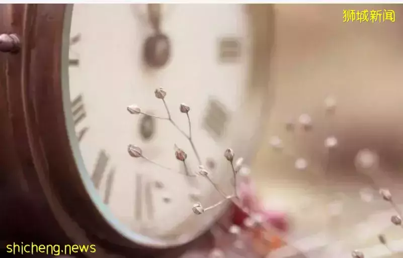 厉害啦！新加坡大叔与女上司及其妹妹谈恋爱，最后玩掉养老金