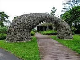 周末帶娃去徒步!10米高木塔、農場、木棧道,湖天一色好美