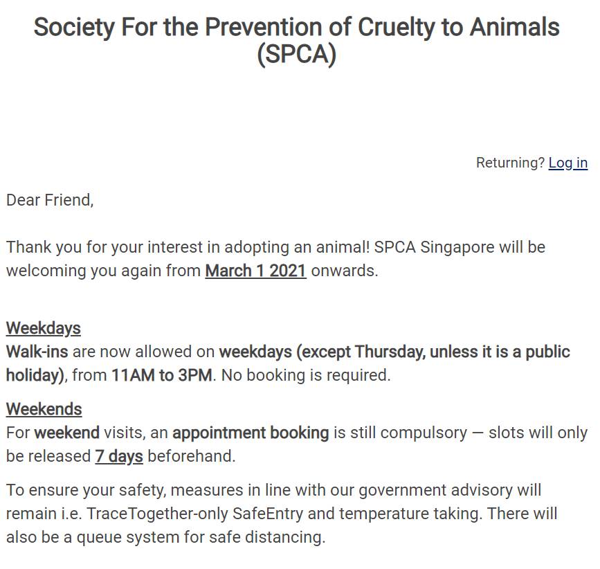 一狗難求！泰迪被炒到$11800新幣！新加坡這裏可以超便宜領養