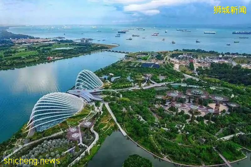 大膽預測！新冠疫情後，新加坡移民或將大受歡迎!