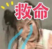 突發！這個海灘驚現一群巨型椰子蟹，還搶燒烤吃！新加坡也被鳄魚、蜥蜴、蟒蛇、水獺、猴子、野豬、野雞嚇到過