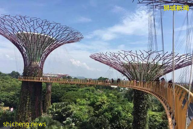 新加坡这样一个弹丸小国为什么能成为发达国家