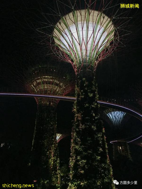 北緯1°，遇見新加坡