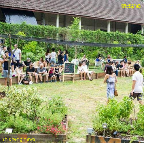 钞票能力加持,新加坡计划打造未来农场