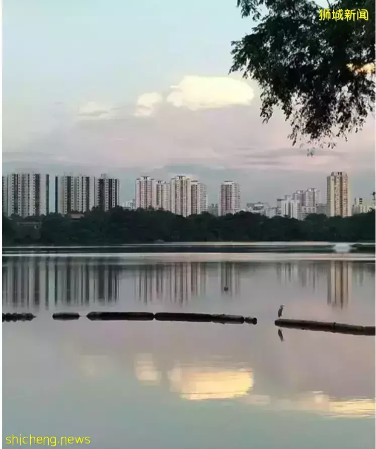 新加坡 熱門住宅：哪些地區將會成爲人們最感興趣的投資寶地