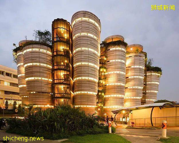 南洋理工大學 Hive 藏在校園裏的“小籠包”