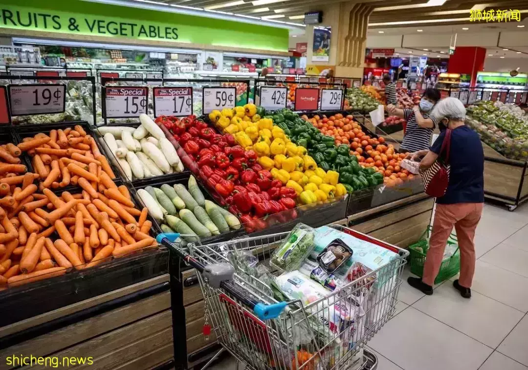 新加坡SP和EP准证升级! 外国人工作难找,本地出现用工难