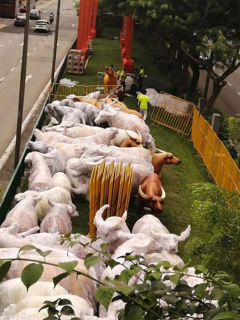 牛车水的新年灯饰来了！网友：像个养牛场一样