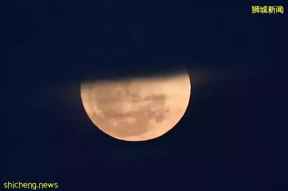 草莓月亮在新加坡刷屏,又是什麽新流量密碼