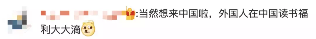 全網熱議！吳尊送娃去中國上學，張柏芝離開坡回上海定居！新加坡不香了