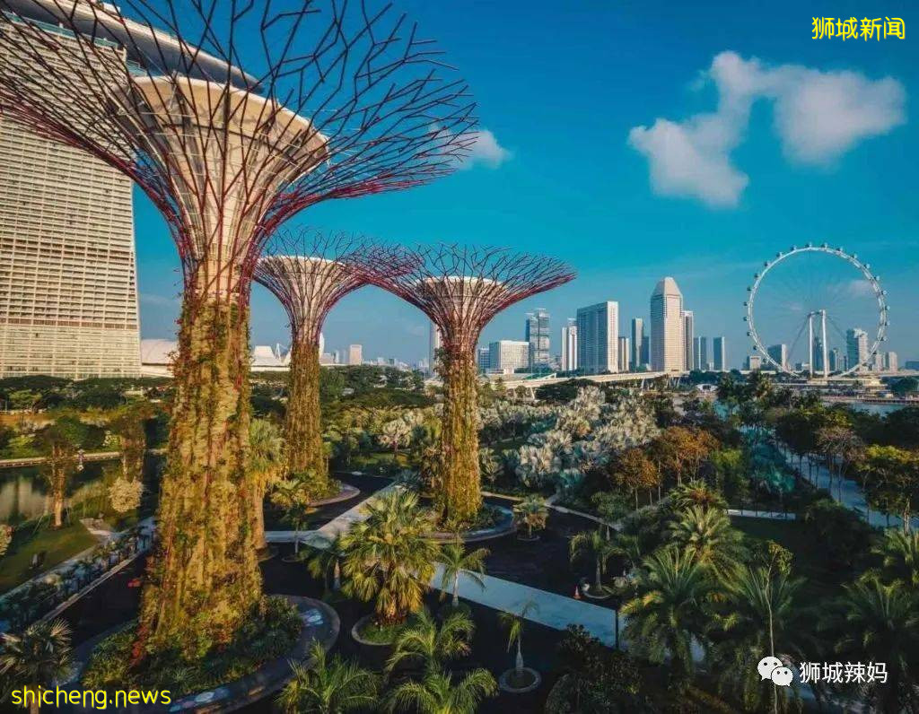 我們爲什麽愛新加坡？這56個理由夠不夠