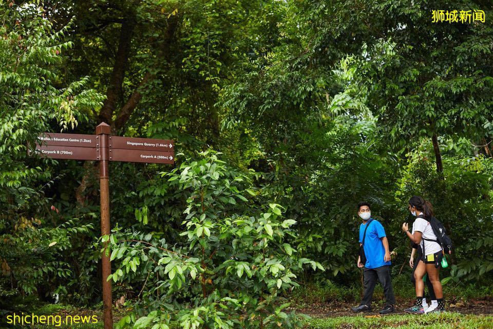 遛娃！徒步！燃烧卡路里~这个新加坡宝藏公园，翻新后更好玩